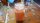 Thai Milk Tea with Tapioca Perls 500 ml.